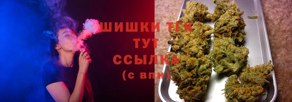 ГАЛЛЮЦИНОГЕННЫЕ ГРИБЫ Горняк