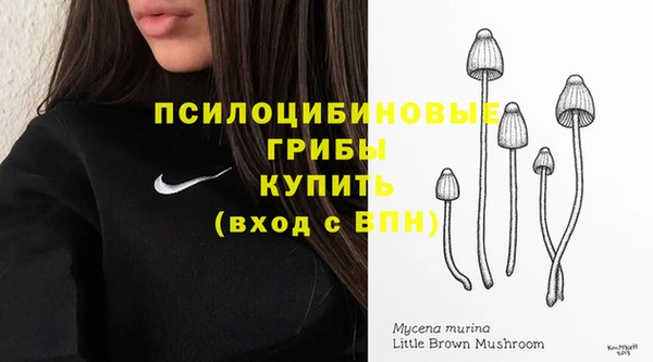 ешки Горно-Алтайск