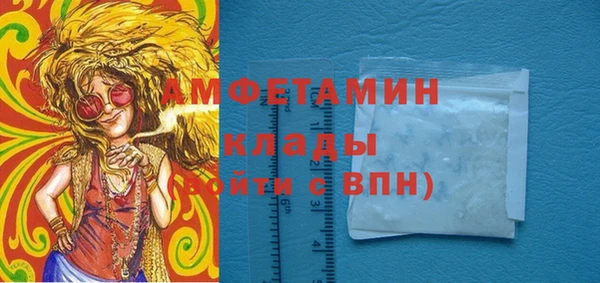 ГАЛЛЮЦИНОГЕННЫЕ ГРИБЫ Горняк