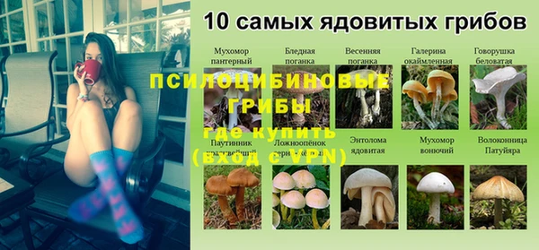 mdpv Горнозаводск
