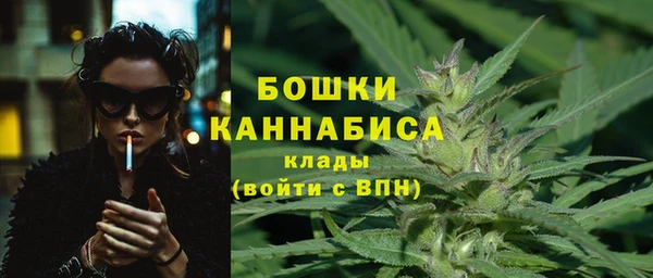 ГАЛЛЮЦИНОГЕННЫЕ ГРИБЫ Горняк